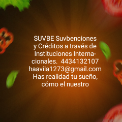 Consultoría en subsidios y créditos Internacionales